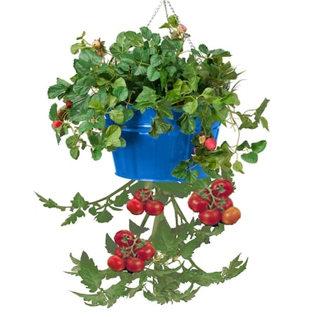 Houston International Trading Houston International Trading 8399E B Enameled Galvanized Hanging Strawberry; Floral Planter - Blue 8399E B